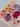 The HIBISCUS collection 