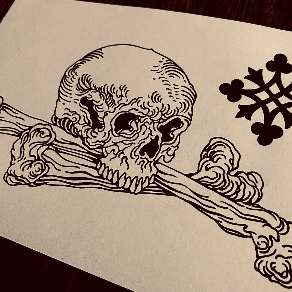 Image of Skull Original 
