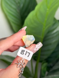 Image 17 of CHOOSE YOUR OWN ETHIOPIAN OPAL LOT B