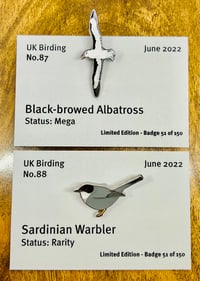 Image 1 of June 2022 UK Birding Pin Releases