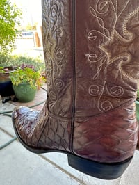 Image 3 of Anteater Boots Montana