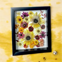 Image 5 of Indian Blanket, Nasturtium, Sunflower & Red Cone Wildflowers In 8" X 10" Shadow Box (Item# 202204LS)
