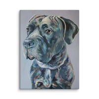 Image 1 of Sweet Mastiff