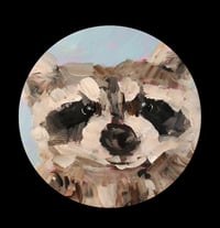 Raccoon sticker
