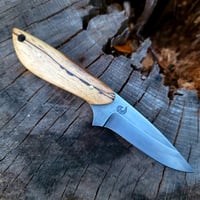 Image 1 of Drop Point EDC - Spalted Pecan