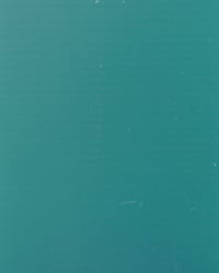 Image 3 of TROUT BUM (PRE-ORDER)