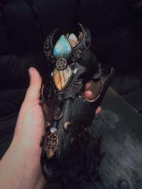 Image 6 of Spellbound adorned coyote skull 