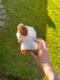 Image 2 of Baby Chocolate Cow