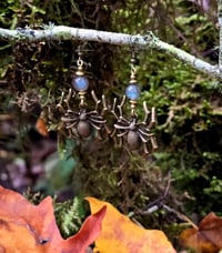 Image 2 of Labradorite Arachnid Earring 