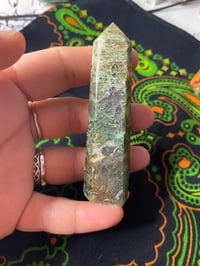Image 13 of Moss Agate Towers