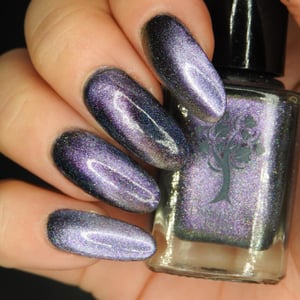 Image of A place for my head