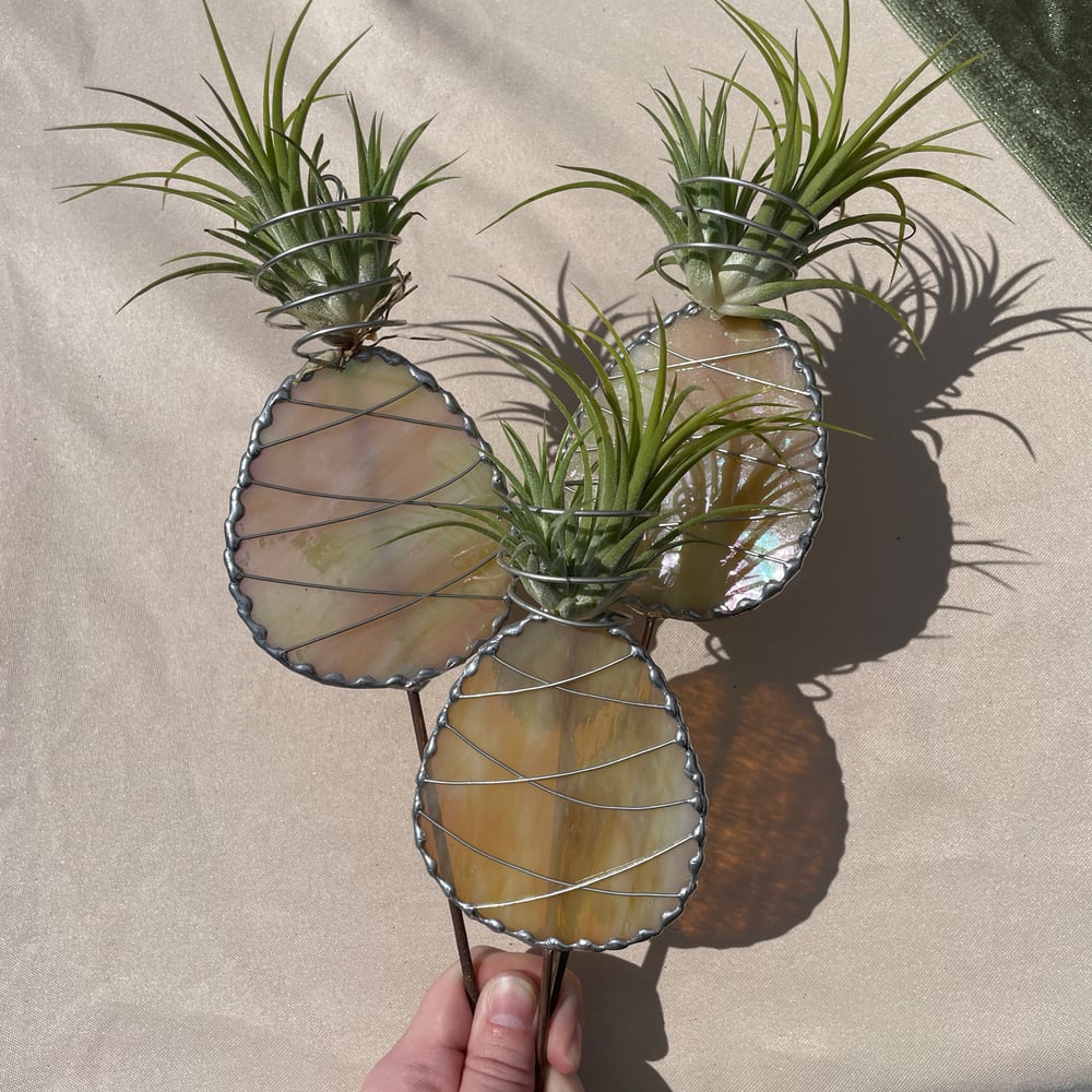 Image of Pineapple Stake 