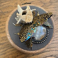 Image 1 of Snake skin vertebrae beetle (a, 4 inches)