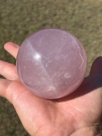Image 1 of Star Rose Quartz Sphere #2642
