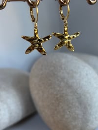Image 5 of Coleccion estrella