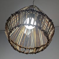 Image 3 of Light Shade by Petals and Pots