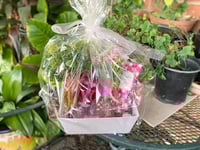 Image 3 of  Gift Basket (Pre-Order)