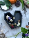 Floral Skull Coffin