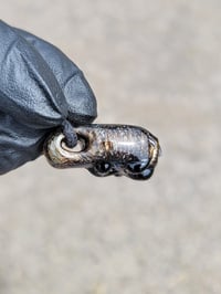 Image 6 of Tortoiseshell (sparkle) paw with black toebeans