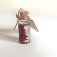 Image 1 of Paint Artefact from Studio - Permanent Alizarin Crimson