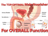ELECTRIC VEGETATION CELL FOOD-T1 MALE NOURISHER. Impotence. Hair Loss. Hormonal Imbalance. 
