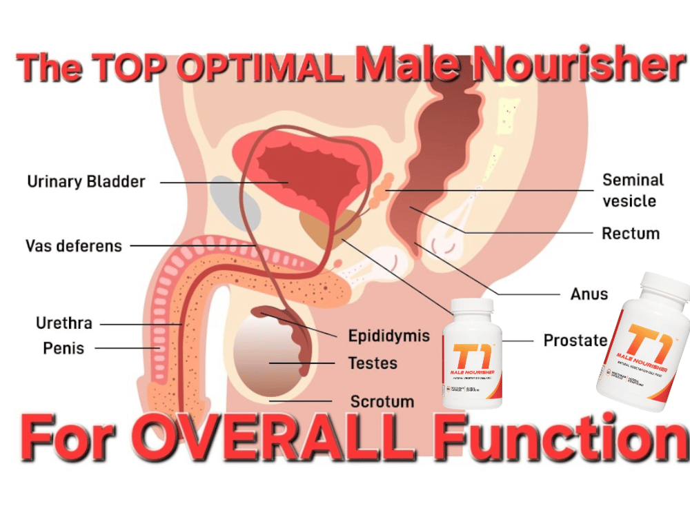 T1 MALE NOURISHER. Impotence/ED. Hormonal Imbalance. Hair Loss. ELECTRIC VEGETATION CELL FOOD