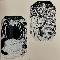 Image 10 of Illustration books x2