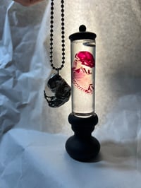 Image 2 of Diaphonized hare embryo (18-22 days gestation) 