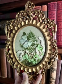 Image 2 of Green African Butterfly Botanical Frame