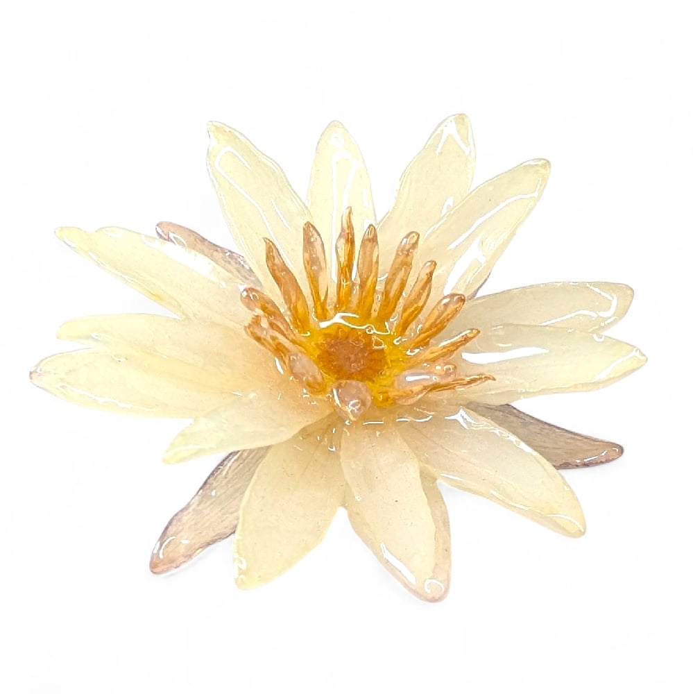 Image of Small Waterlily Brooch