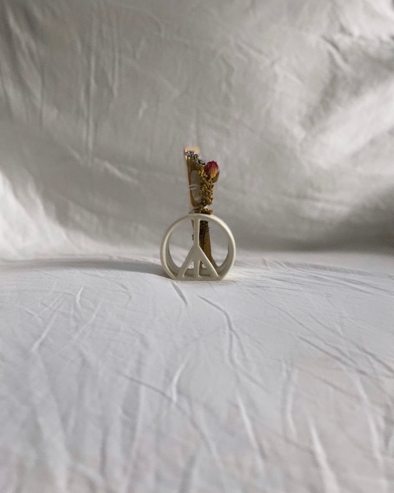 Image of Palo santo holder + Palo santo