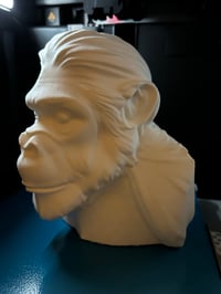 Image 3 of paint your own gorilla bust