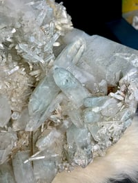 Image 9 of Phantom Quartz Cluster With Chlorite Inclusions Statement Piece #2390