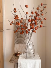 The Pumpkin Stems ( 6 sprays included )