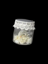 Image 2 of adult rat skull + partial skeleton jar