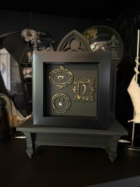 Image 1 of Hedgehog bones/tooth gallery wall