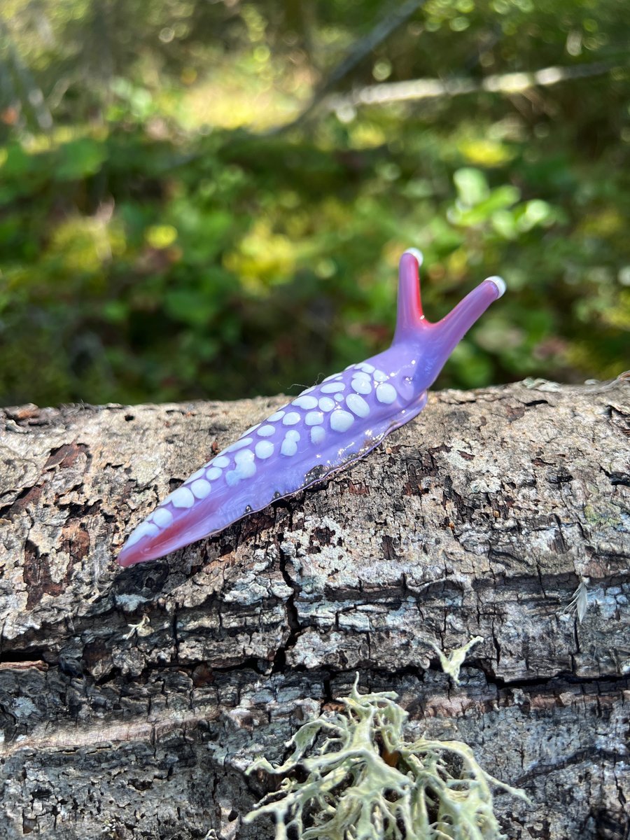 Image of Purple Boro Slug