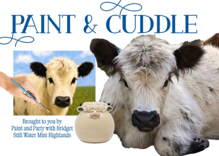Image of Paint and Cuddle 9/9 Marion Gerrish Community Center Derry, NH