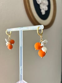 Image 4 of Mini Oranges 