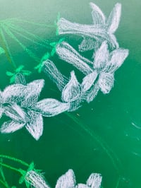 Image 2 of 🌿“Madagascar Jasmine”- Original Botanical Drawing