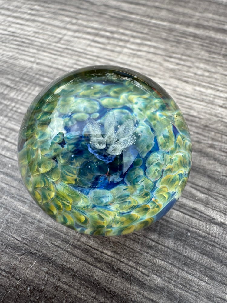 Image of Ghost Flower Glass Paperweight