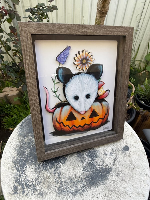 Image of “Possum” shadow box