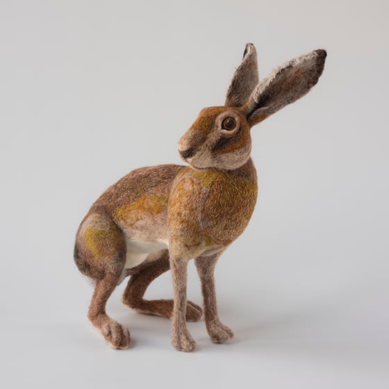 Image of Large Sitting Hare
