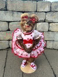 Image 1 of Polkadot Baby