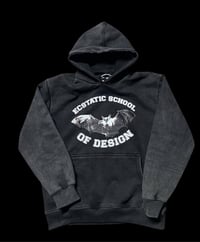 Bat University Hoodie