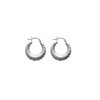Silver IV Earrings