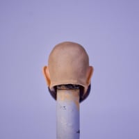 Image 5 of Joe