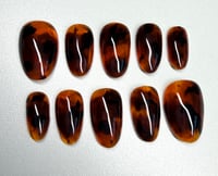 Image 4 of Classic Tortoiseshell Archive 