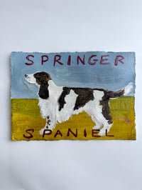 Springer Spaniel