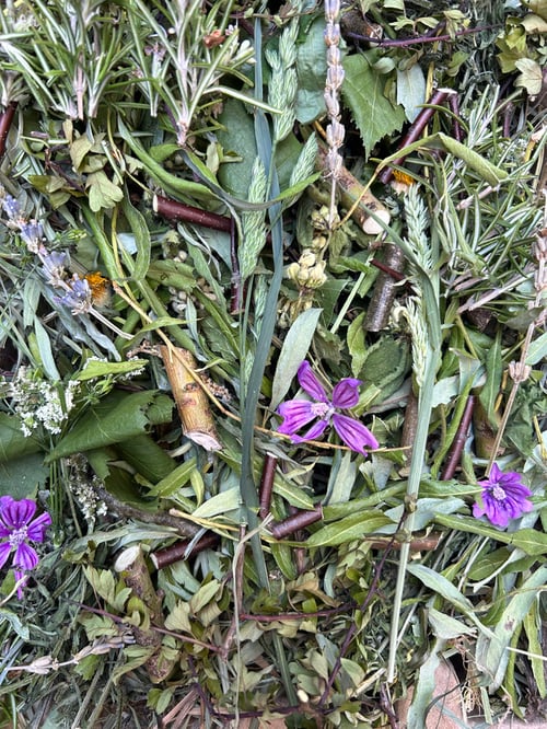 Image of Recycled deep tray filled with mixed dried forage *limited stock!*